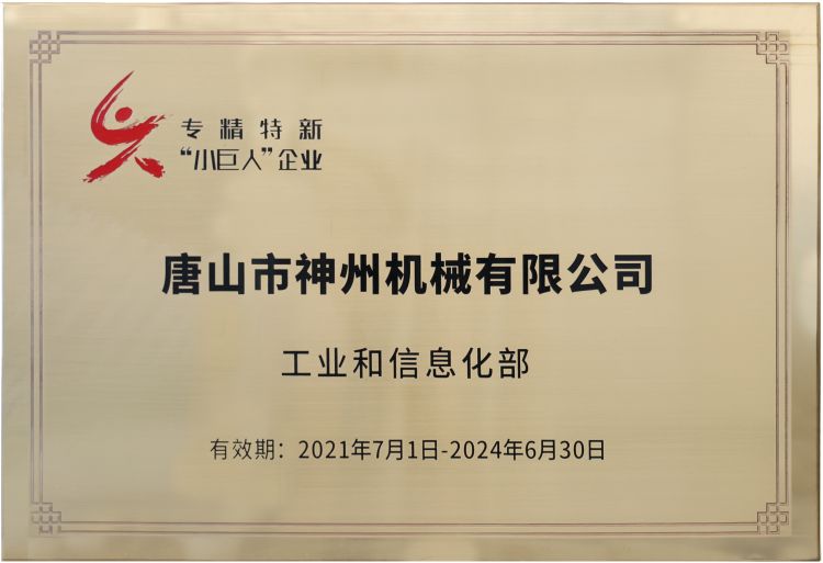 国家专精特新重点小巨人